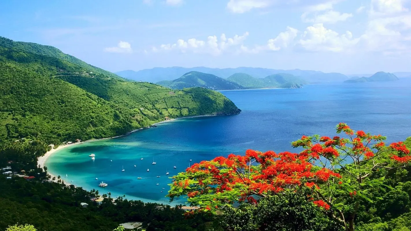 高质量稳定性先进